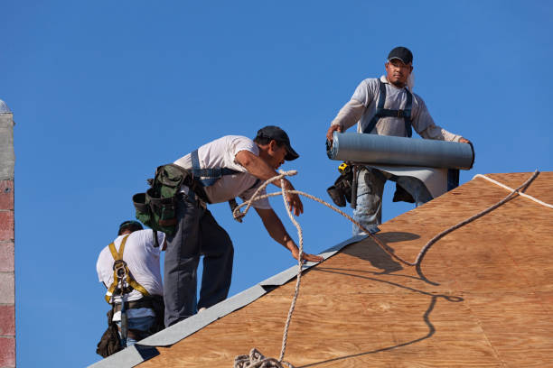Roof Gutter Cleaning in Tillamook, OR